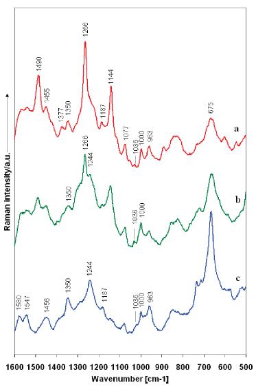 Beta Amyloid SERS spectra nanofluidic biosensor