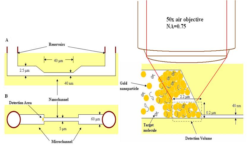 Nanofluidic Biosensor